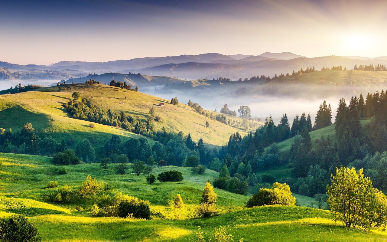 hills, india, nature, free wallpaper, kodaikanal, trees, full hd wallpaper, landscape, scenic, tamil nadu, scenery, cool backgrounds, sunny, green, nature background, hd wallpaper, 4k wallpaper, outdoors, nature wallpaper, windows wallpaper, morning, mac wallpaper, beautiful wallpaper, wallpaper, beautiful, wallpaper 4k, free background, sunset, sunrise, wallpaper hd, zoom background, india, india, nature, nature, nature, 4k wallpaper 1920x1080, nature, laptop wallpaper, nature, landscape, landscape, scenery, green, desktop backgrounds, morning, wallpaper, beautiful nature, wallpaper, sunrise