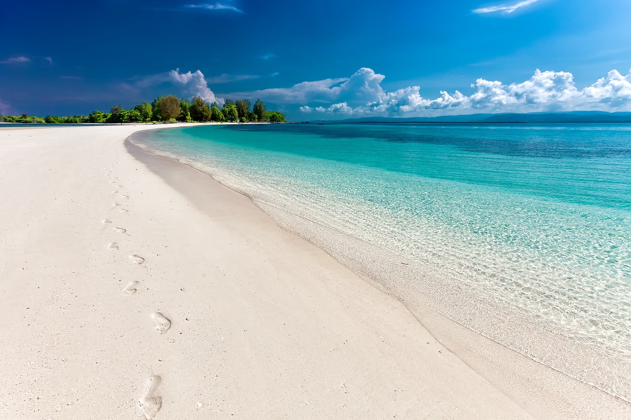 beach, nature, sea
