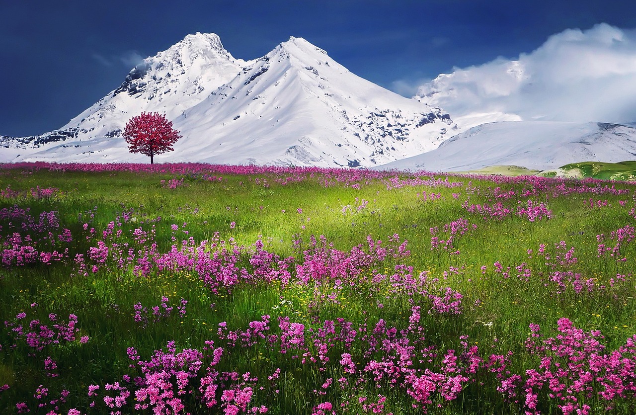 mountains, alps, meadow