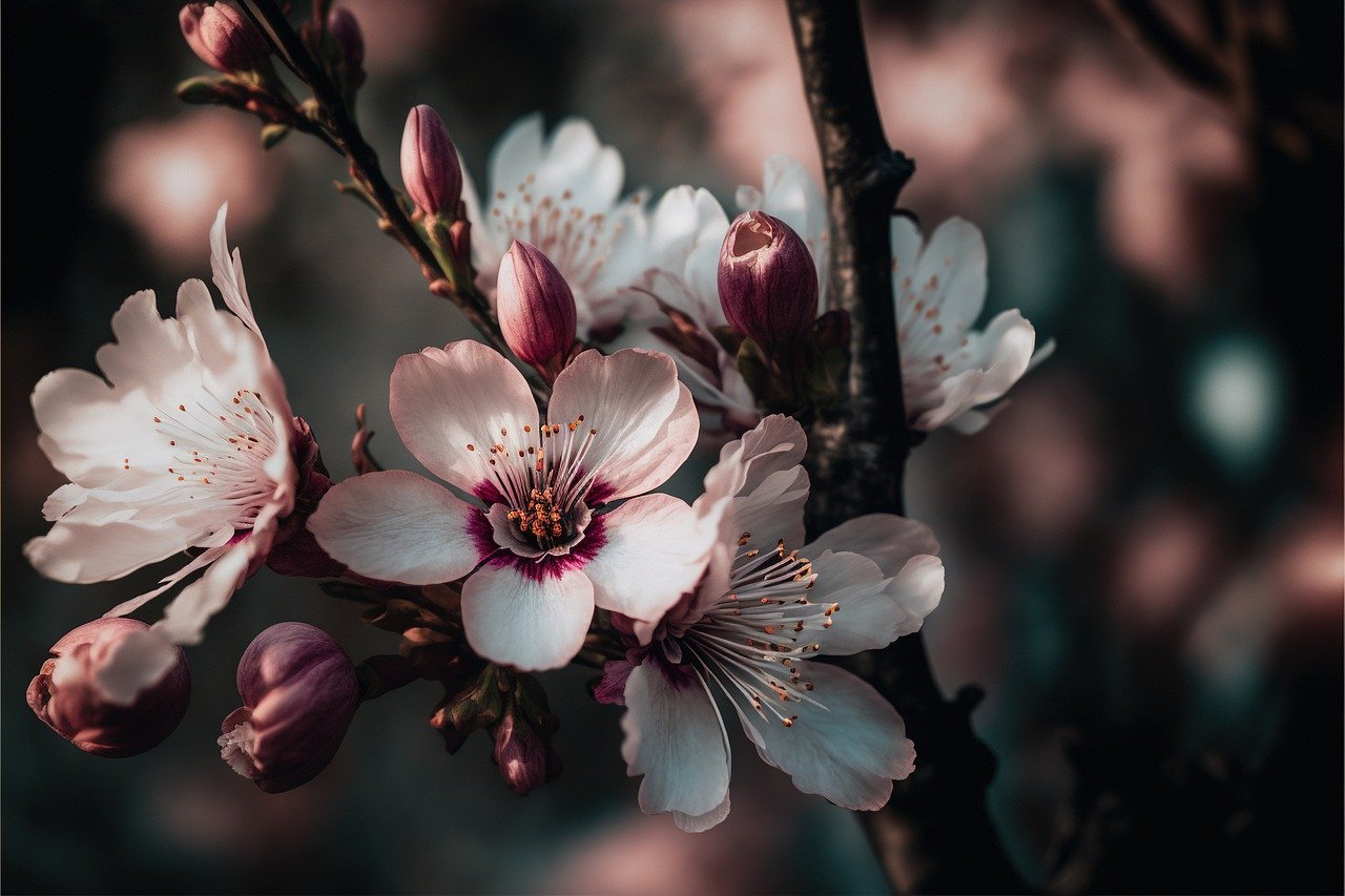 ai generated, flower, beautiful flowers
