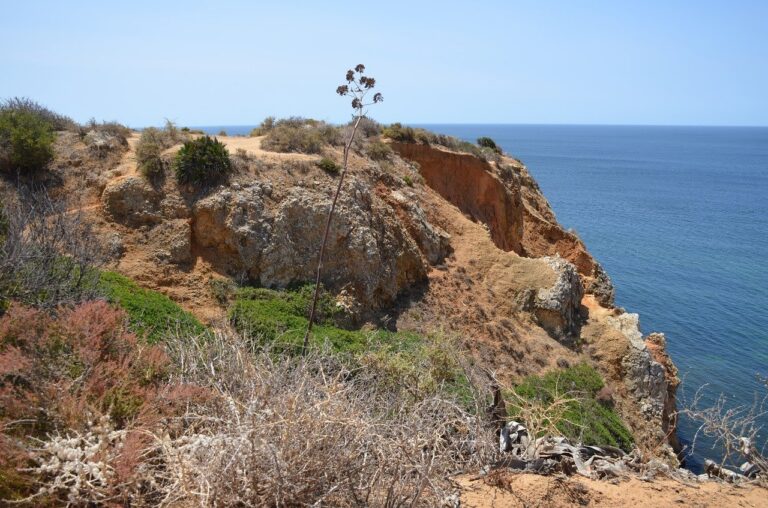 cliff, hd wallpaper, coast