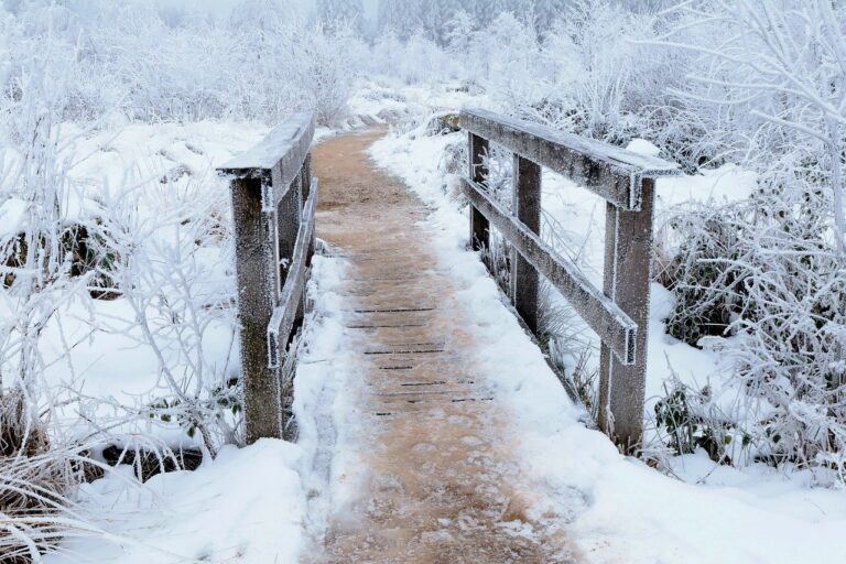 bridge, winter, snow