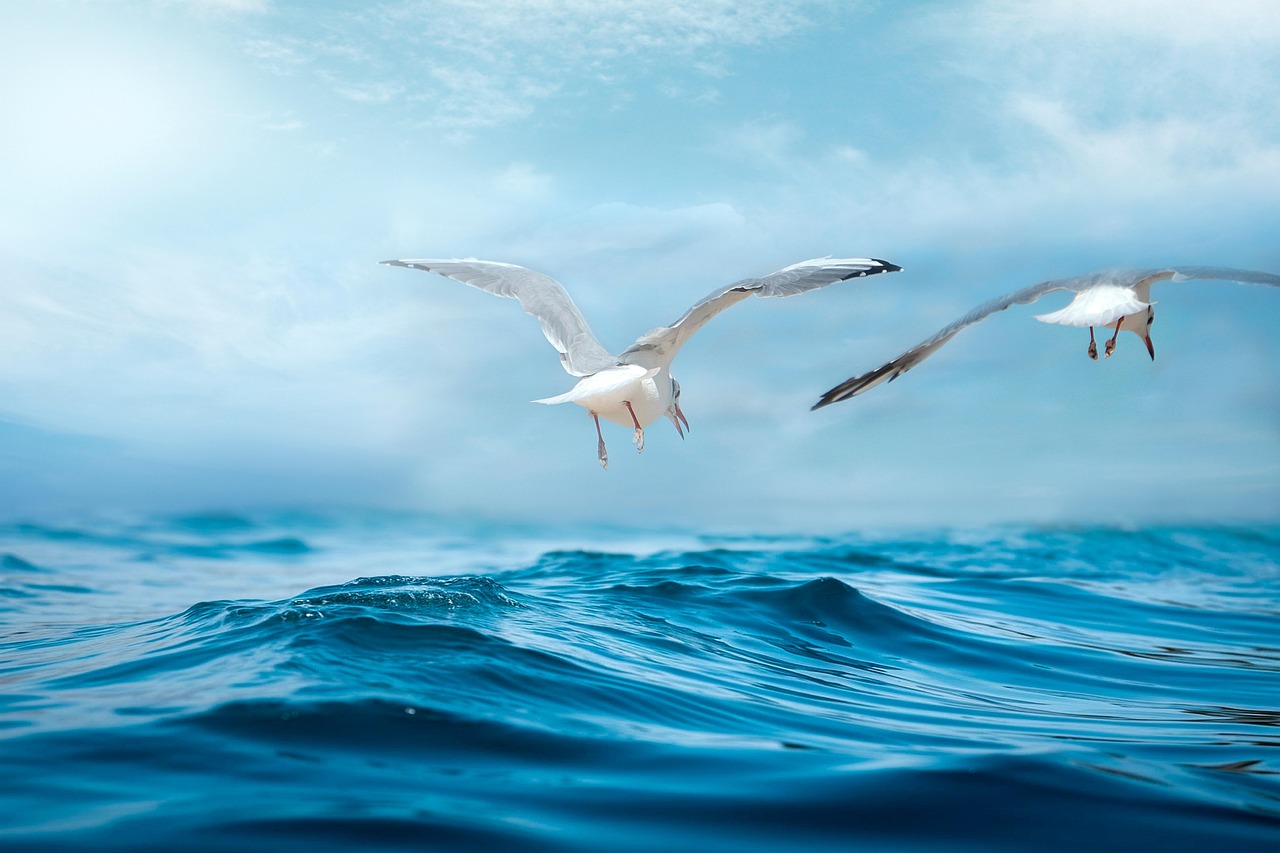 seagulls, marine, sea, waves, nature, clouds, fantasy, water, undulations, landscape