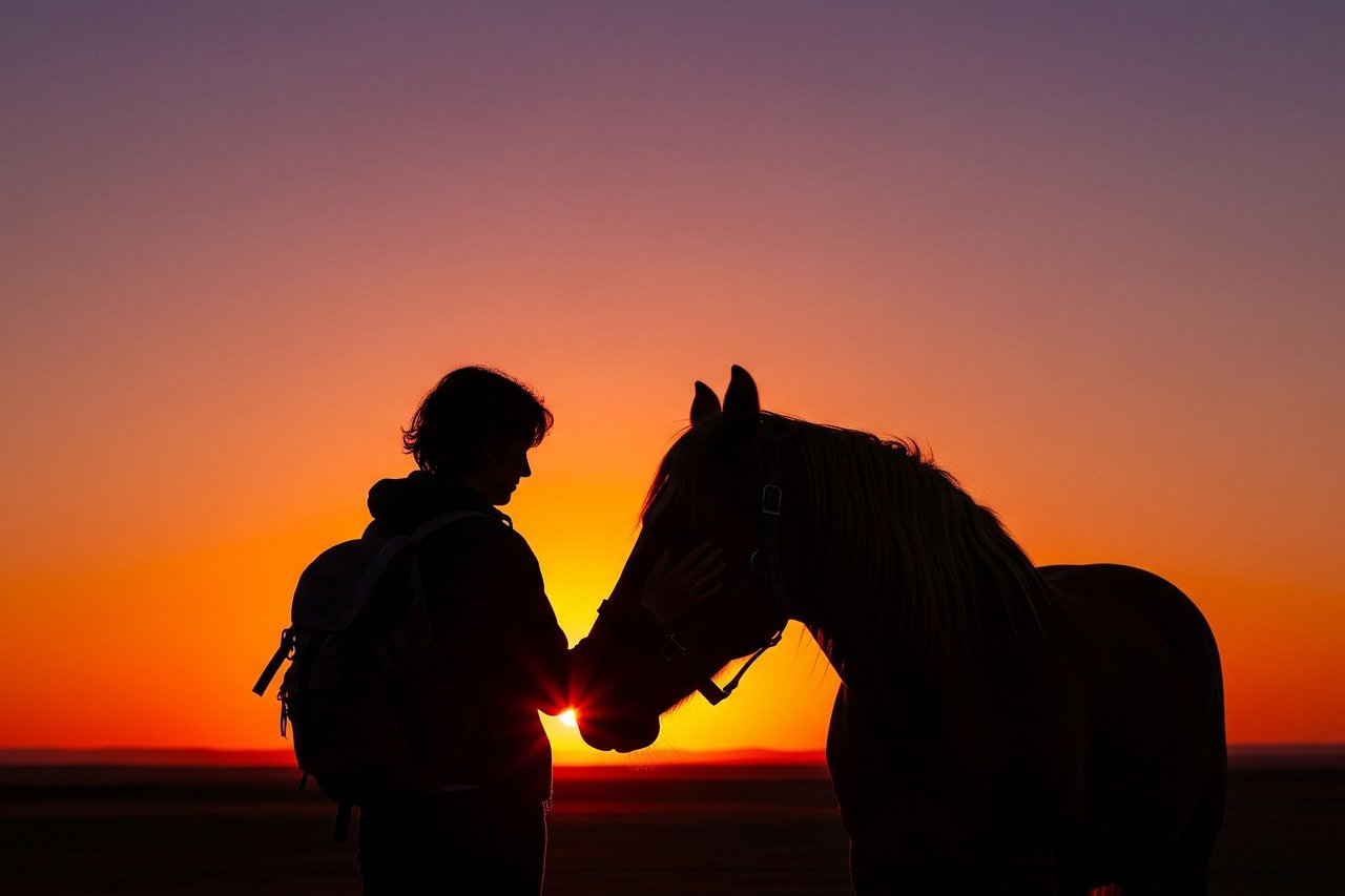 silhouette, horse, person, backpack, sunset, golden hour, dusk, twilight, orange sky, horizon, countryside, field, meadow, nature, outdoors, equestrian, equine, animal, petting, bond, friendship, companionship, connection, affection
