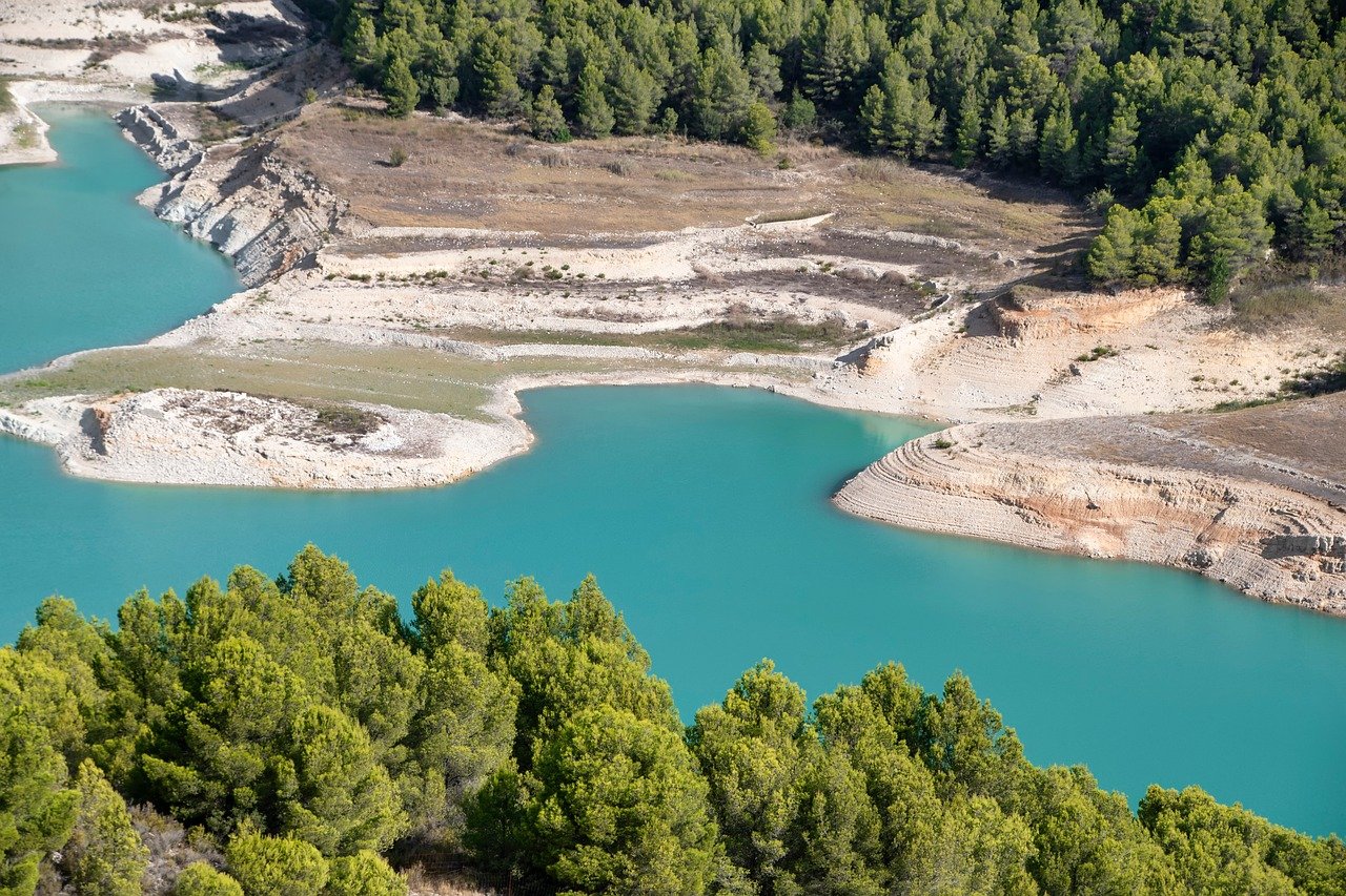 marsh, blue, pine, nature, landscape, vegetation, water, erosion