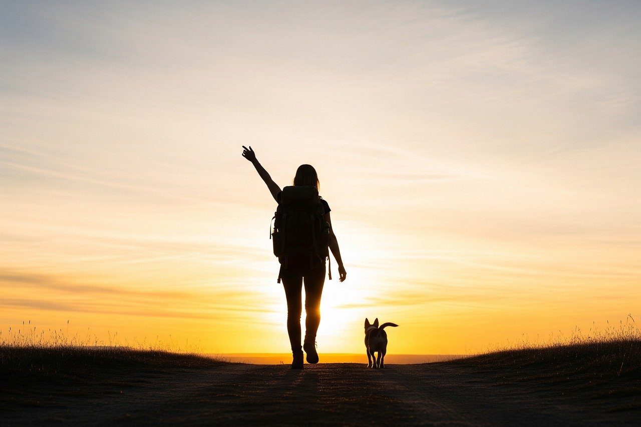 hiker, animal, backpack, silhouette, dog, sunset, walking, adventure, outdoors, travel, freedom, nature, landscape, golden hour, companionship, friendship, journey, hiking, pet, sky, lifestyle