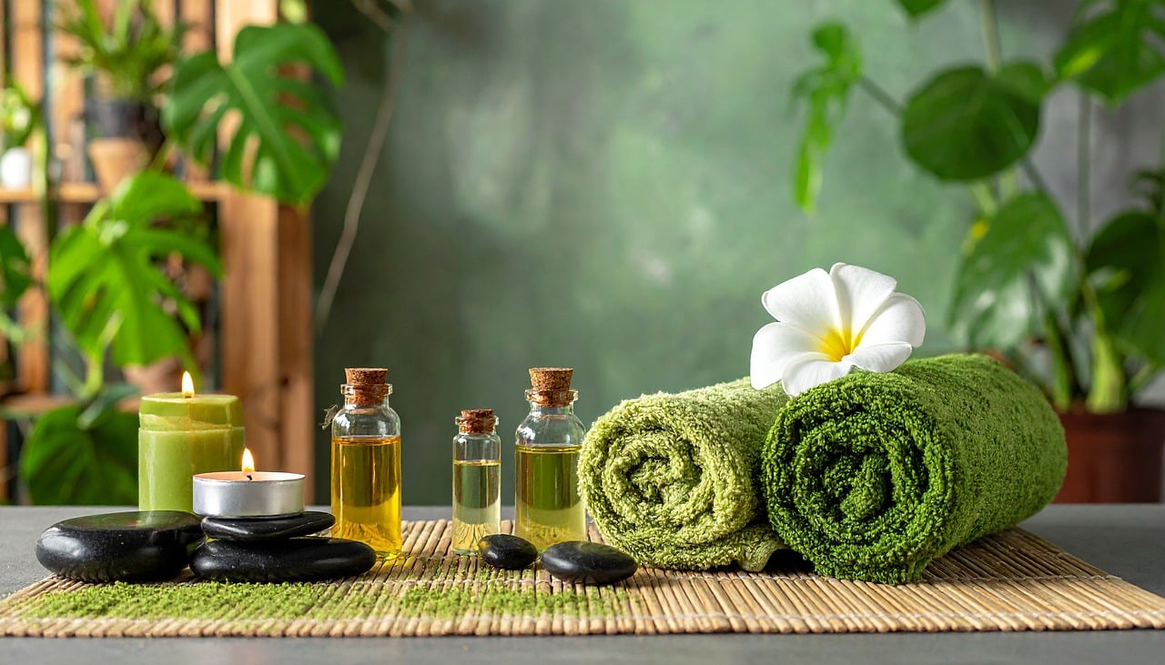 relax, massage, wellness, relaxation, physiotherapy, spa, health, pain, therapy, rest, well-being, candles, nature, flame, burn, lava rocks, oil, plants, bloom, green