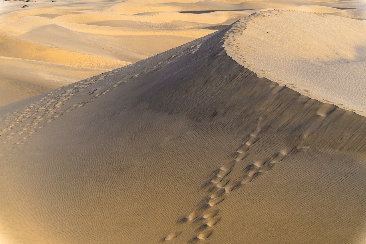 dune, desert, sand, nature, landscape, dry, to travel, hot, outdoors, sand dune, drought, gran canaria, vacation, island, vacations, leisure time, spain, maspalomas, ocean, beach