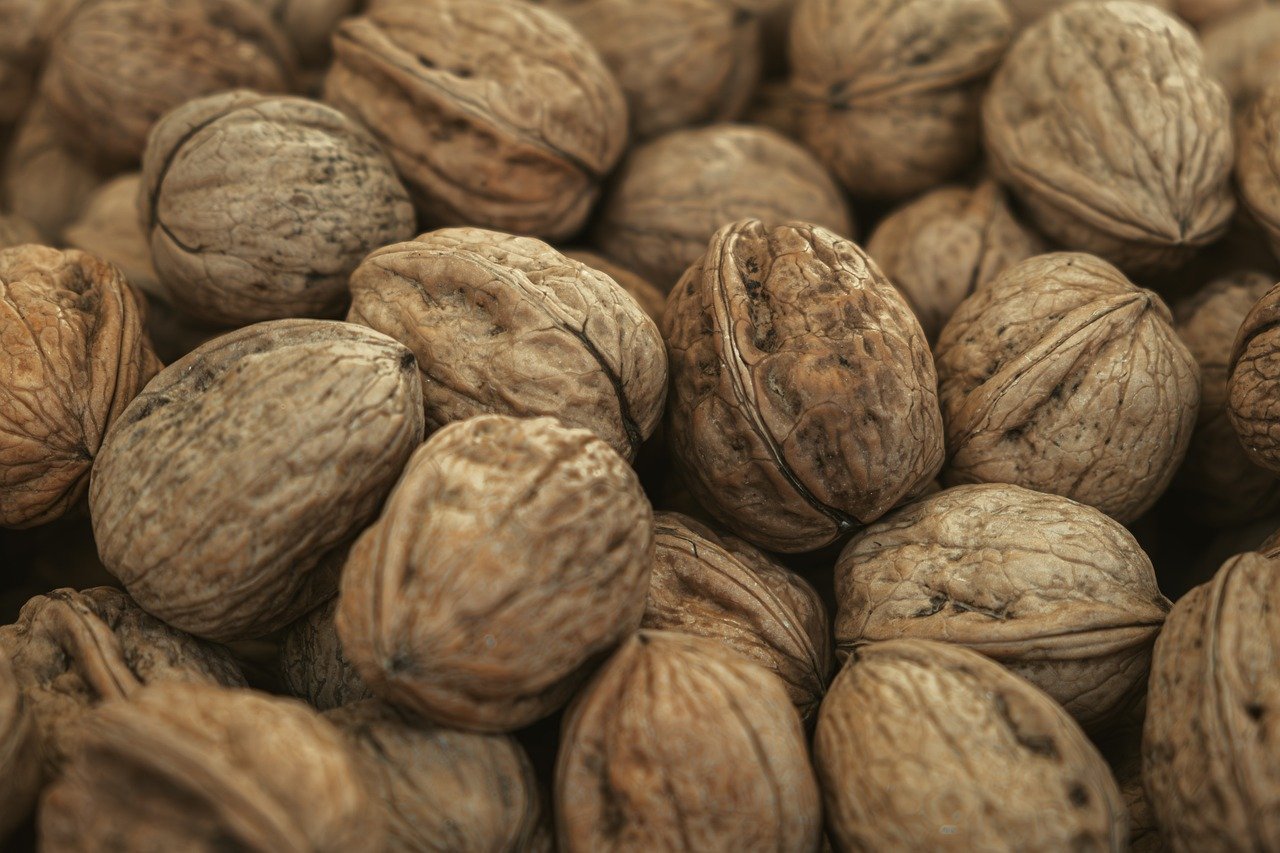 walnuts, natural, healthy, snack, food, nutritious, closeup, nut, uncooked, rustic, natural textures, shell, pattern, natural food, natural color, seasonal, pure, natural resources, natural ingredient