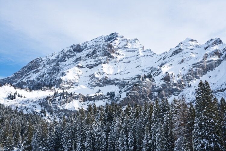 landscape, mountain, forest, trees, alps, nature, switzerland, snow, winter, panorama, tourism, view, serenity, peak, snowy, cold, comfortable, expedition, silence