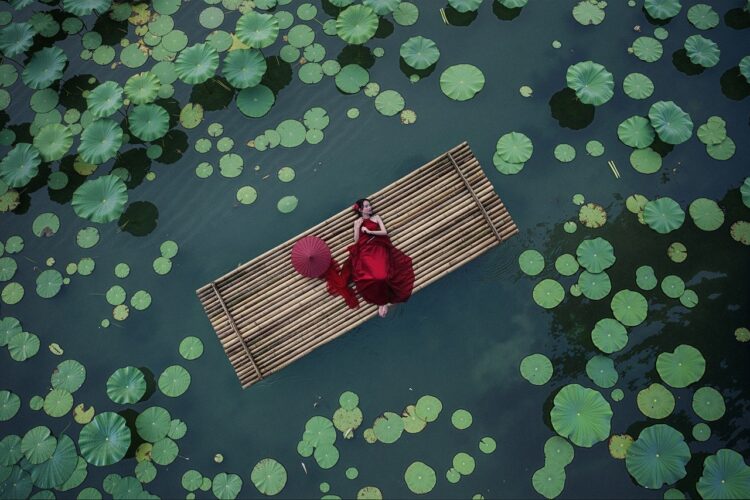 vietnamese girl, nature, asian woman, lotus flower, river, water, bamboo raft