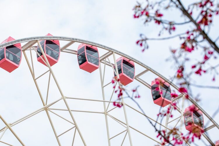 ferris wheel, gondolas, red, beautiful flowers, flowers, spring, sky, nature, amusement, wheel, tourism, attraction, flower wallpaper, outdoor, clear day, flower background, minimal design, recreation, panoramic
