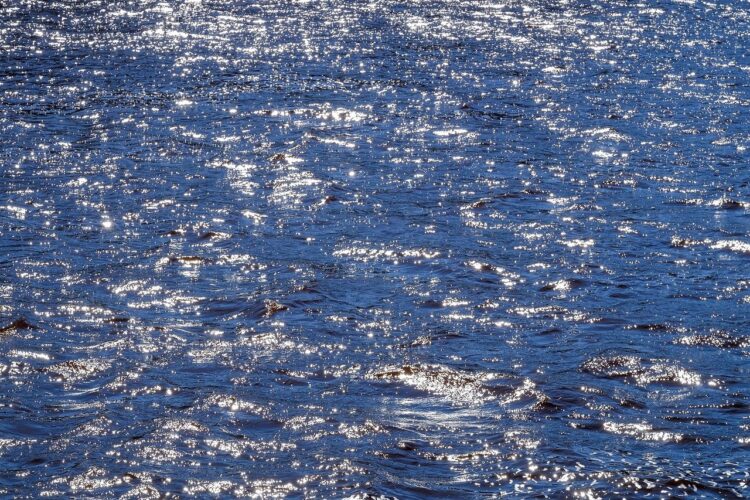 water, sunlight, reflections, sparkling water, nature, landscape, sun rays, glare, sparkle, lake, calm, gloss, outdoor, picturesque, beach, twinkling, afternoon, flowing water, outdoors